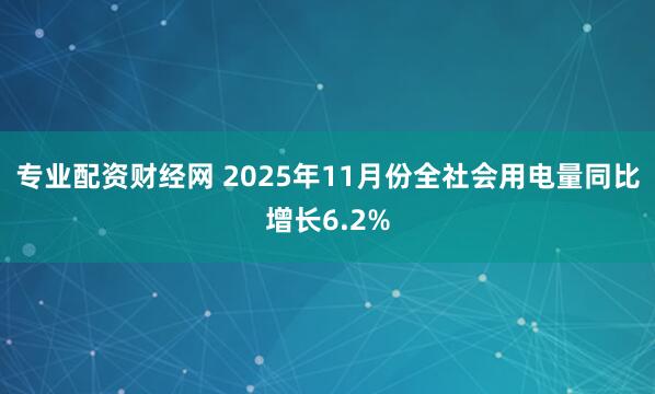 专业配资财经网 2025年11月份全社会用电量同比增长6.2%