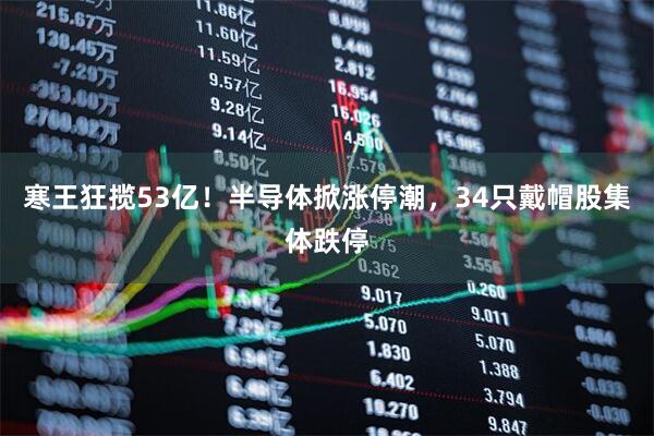 寒王狂揽53亿！半导体掀涨停潮，34只戴帽股集体跌停